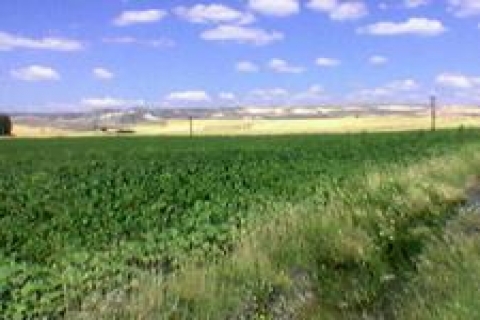 Vakıflar, Sivas ve Yozgat'ta 14 gayrimenkul satacak