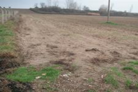 İBB'den Eyüp'te arsa satacak