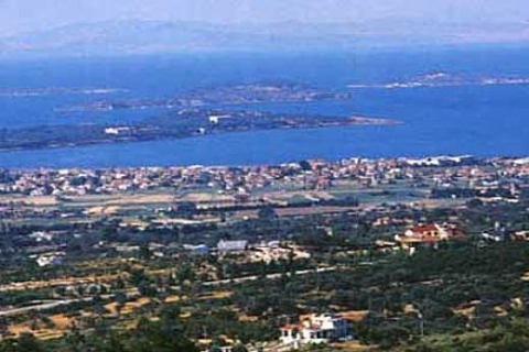 Urla'da icradan 1 milyon 87 bin 470 liraya satılık bağ, tarla ve 2 katlı yapı!