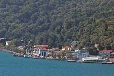 2/B arazileri satış yasasıyla ilgili dikkat edilmesi gereken konular!