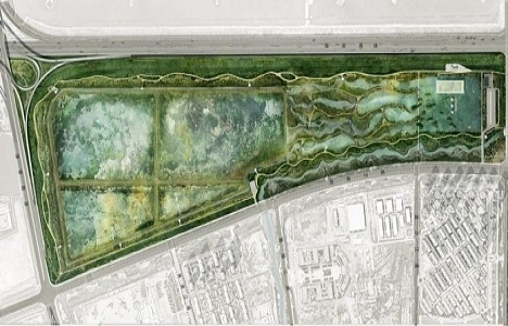 Çin de göçmen kuşlar için çok özel bir havaalanı inşa edilecek!