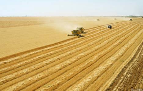 Ceylanpınar Tarım İşletmesi 24 saat kamera ile gözetleniyor!