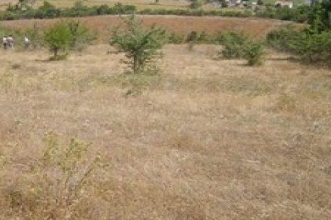 Başakşehir'de 5 bin 944 metrekare satılık sosyal tesis arsası!