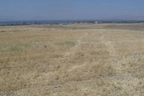 Kayseri'de icradan satılık 1 milyon 995 bin TL'ye arazi!