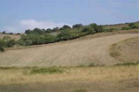 Milli Emlak, Yenibosna'da arsa satacak