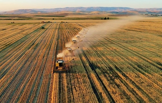 1 milyon metrekarelik dikey tarım fabrikası kurulacak!