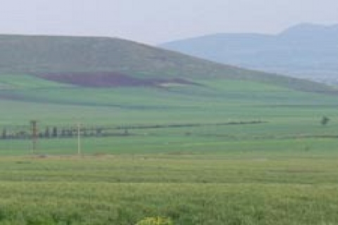 Osmaniye'de icradan 1 milyon 278 bin TL'ye satılık 2 tarla!