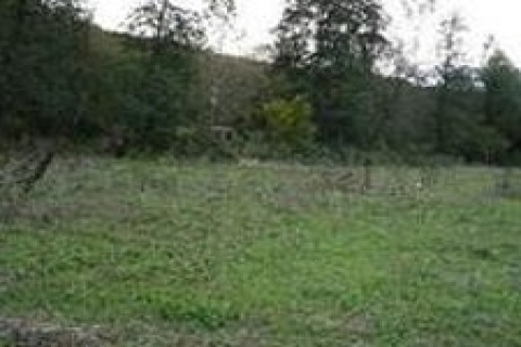 Eyüp'te icradan satılık 716 bin TL'ye arsa!