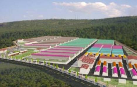  Antalya'da 150 bin metrekare alana hayvan bakımevi kurulacak! 