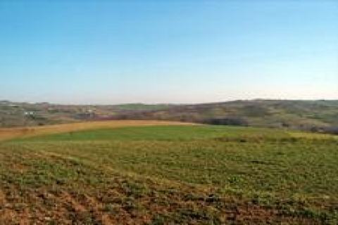 İzmir'de icradan 3 milyon 467 bin TL'ye satılık arsa ve bina!