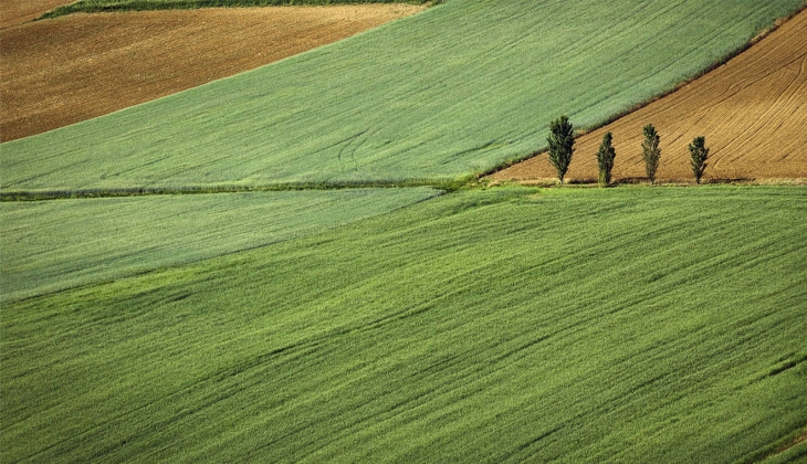 Buca Belediyesi 1.956 metrekarelik arsasını yurt için üniversiteye satıyor! 