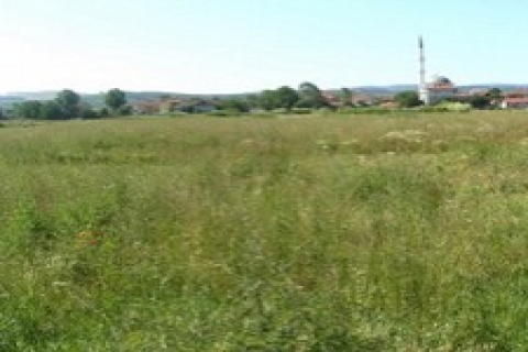 çerkezköy'de icradan 1 milyon 250 bin TL'ye satılık arsa!