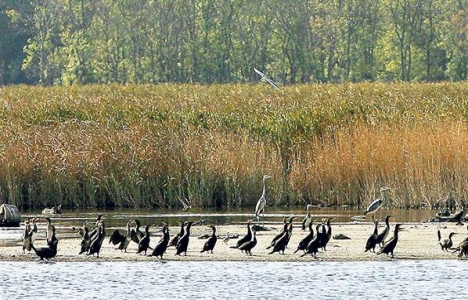 Trakya Bölgesi Çevre Düzeni Planı durduruldu mu?