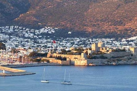 Bodrum'da icradan 1 milyon 154 bin 810 liraya satılık kargir ev ve zeytinli tarla!