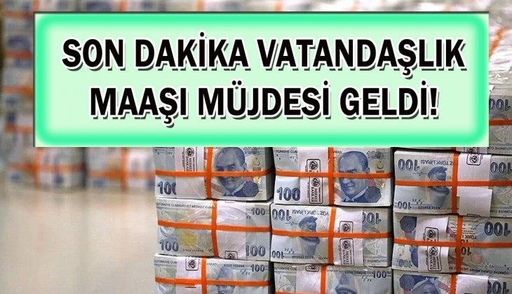 Aile Destek Programı bitiyor diye üzülmeyin şimdi de vatandaşlık maaşı müjdesi geldi! Vatandaşlık maaşı kime verilecek?