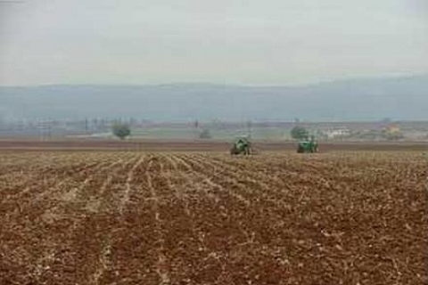 Aydın Çeştepe Belediyesi'nden satılık 9 arsa ve tarla!