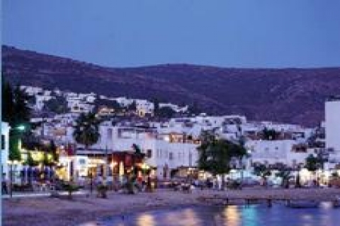 Paraya sıkışan yabancı güneyde evini satıyor