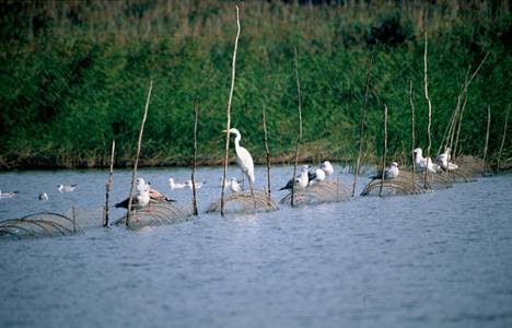 Sulak Alanların Korunması Yönetmeliği yürürlüğe girdi!
