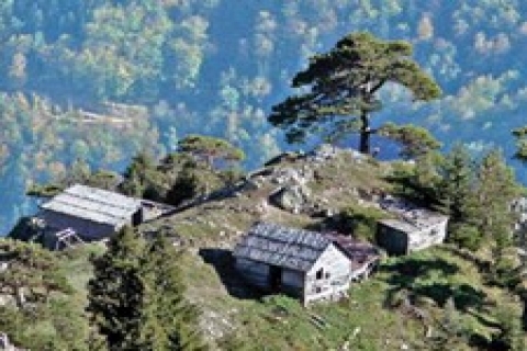 Doğu Karadeniz'de yaylalar kaçak yapılaşmaya başladı!