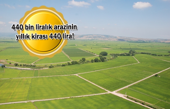 Hazine arazileri ülke ekonomisine katkı sağlayacak!