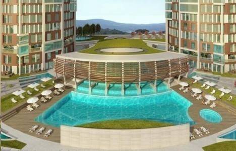 Terrace Tema iletişim!