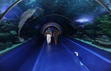 Antalya'daki 85 milyon TL'lik Dev Akvaryum bugün açılıyor!