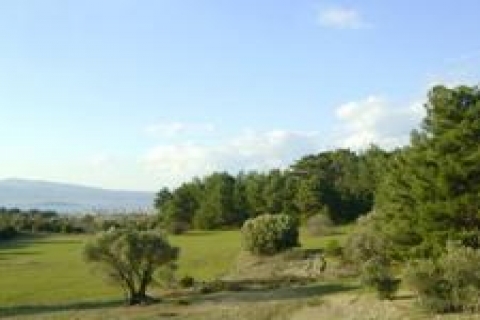 Vakıflar'dan Ordu, Sinop ve Samsun'da 4 adet satılık gayrimenkul