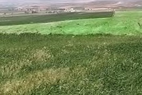 Yalova Belediyesi, 2,9 milyon TL'den arsa satıyor!