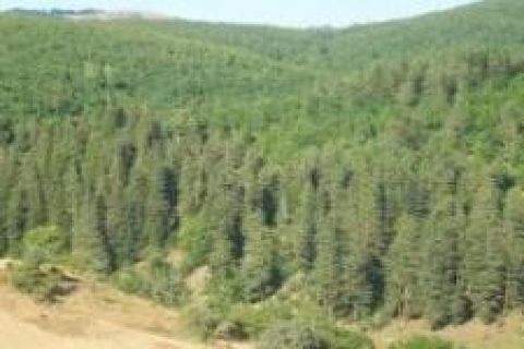 Çayırova'da verilen tapular iptal edildi