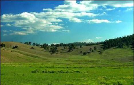 Mera ve yaylaklar için sadece kiralamaya yönelik düzenleme yapılacak!