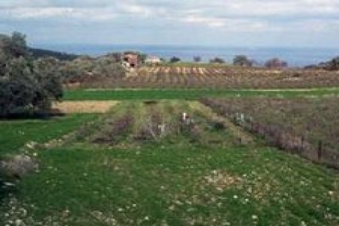 Antalya Manavgat'ta satılık ve kiralık hazine arsaları!