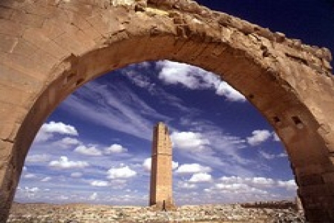 Urfa'ya uluslararası araştırma merkezi yapılacak!