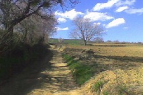 Antalya'da icradan 1 milyon 58 bin TL'ye satılık tarla ve depo!