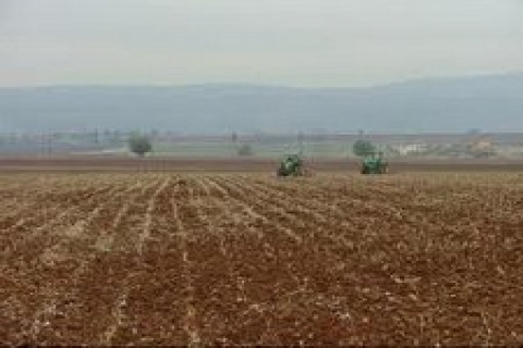 Bozüyük'de icradan 3 milyon 388 bin TL'ye satılık tarla!