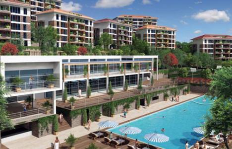 Fuaye Süreyyapaşa nerede!