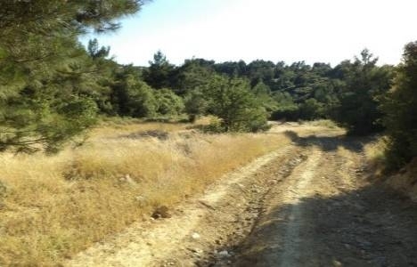 Yola cephesi olmayan tarla nedir?