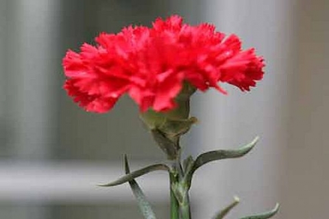 Yüksek Mimar Yalçın Ersan vefat etti!