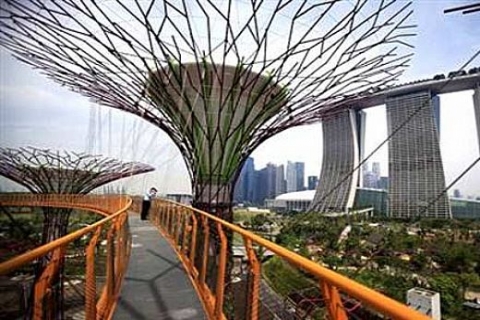 Singapur'daki gökdelenler, orman gölgesinde kalacak!