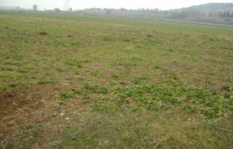 Gaziantep'te belediyeden 663 bin TL'ye satılık konut imarlı arsa!