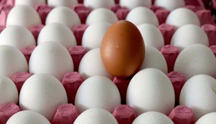 Yumurta fiyatları bir yılda yüzde 250 zamlandı! Yumurta yemekte lüks oldu! İşte Migros, ŞOK 27 Temmuz 2022 fiyat listesi