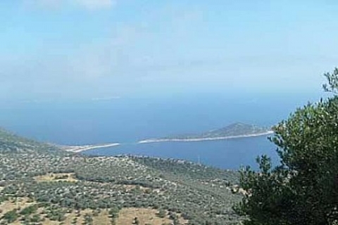 Antalya'da 2B arazileri için satın alma başvuruları başladı!