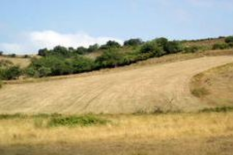 İstanbul Defterdarlığı Kağıthane'de 8 arsa satacak!