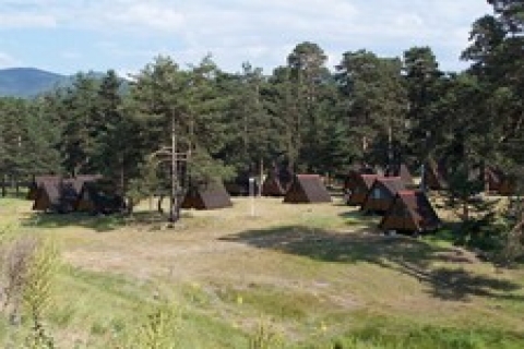 Murat Kurum: Kentler merkezde dikey büyümeli!