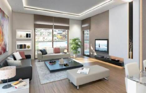 Örümcek ağları ev fiyatını yükseltti!