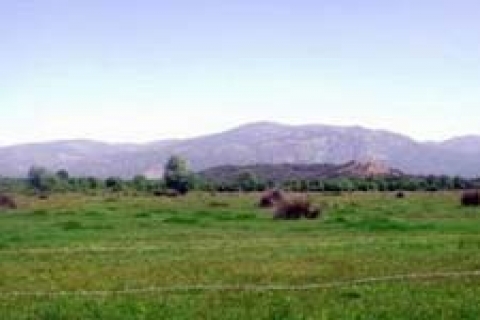 Konyaaltı Belediyesi'nden satılık 3 arsa