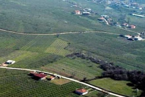 2-B İstanbul'a 990 hektarlık orman alanı kazandıracak!