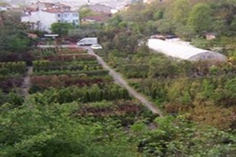 Kuzguncuklular adaylarından bostanları koruma sözü istedi!