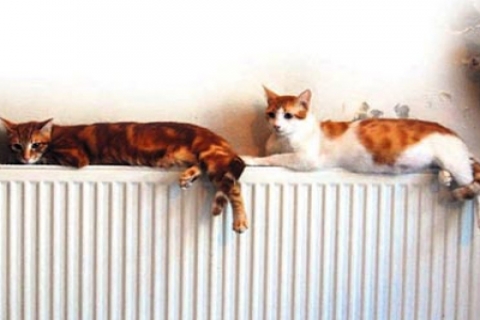 Gebze Gökdeniz Konutları 'nda 110 bin TL 'ye!