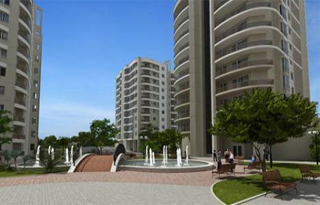  Koza Park görselleri!