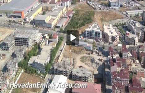 Evviva Queen projesi